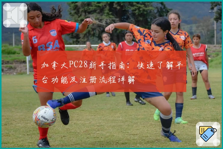加拿大PC28新手指南：快速了解平台功能及注册流程详解