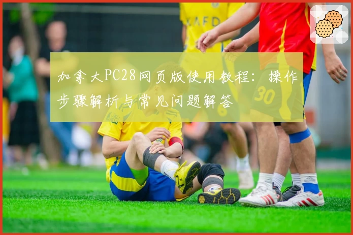 加拿大PC28网页版使用教程：操作步骤解析与常见问题解答