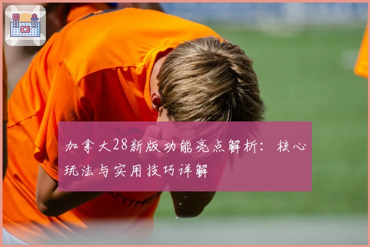 加拿大28新版功能亮点解析：核心玩法与实用技巧详解