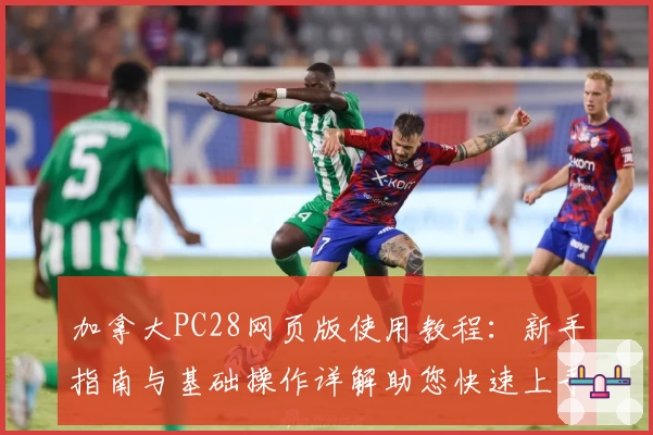 加拿大PC28网页版使用教程:新手指南与基础操作详解助您快速上手