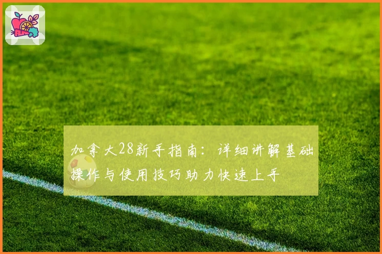 加拿大28新手指南：详细讲解基础操作与使用技巧助力快速上手