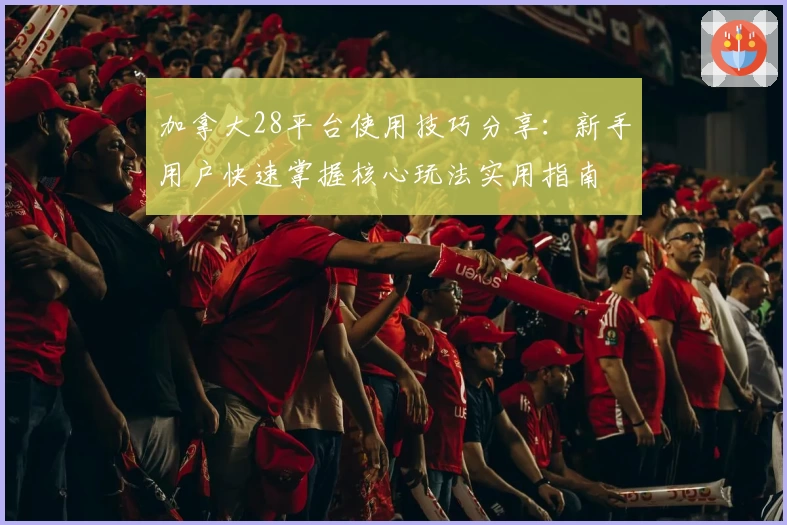 加拿大28平台使用技巧分享：新手用户快速掌握核心玩法实用指南