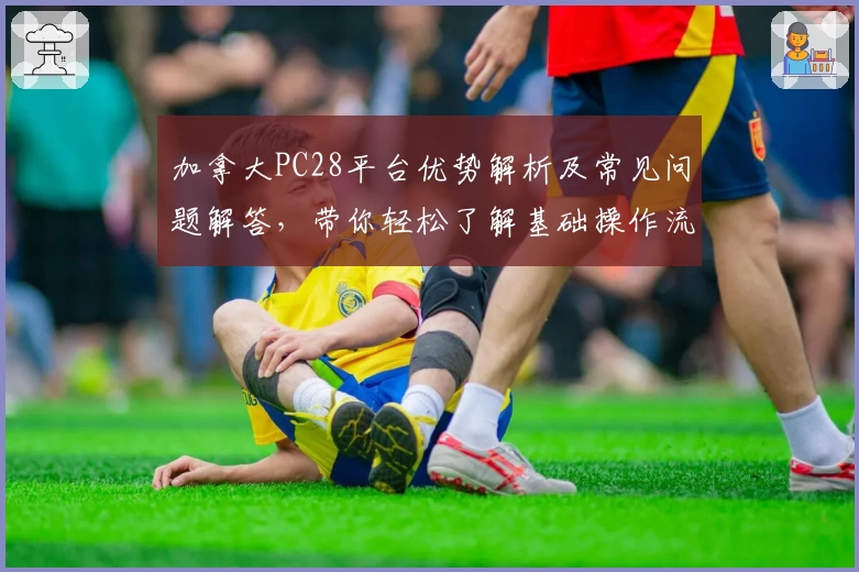 加拿大PC28平台优势解析及常见问题解答，带你轻松了解基础操作流程