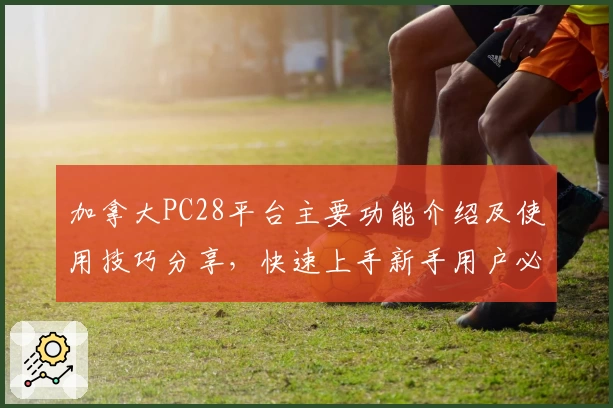 加拿大PC28平台主要功能介绍及使用技巧分享，快速上手新手用户必备指南