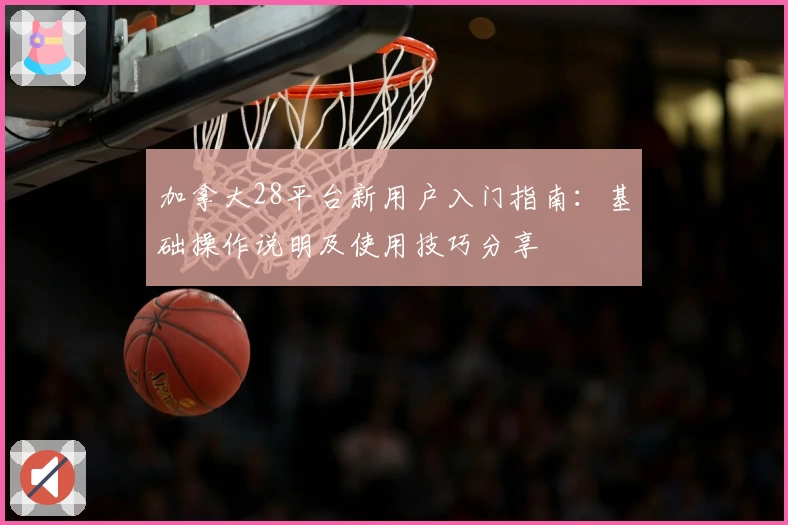 加拿大28平台新用户入门指南：基础操作说明及使用技巧分享