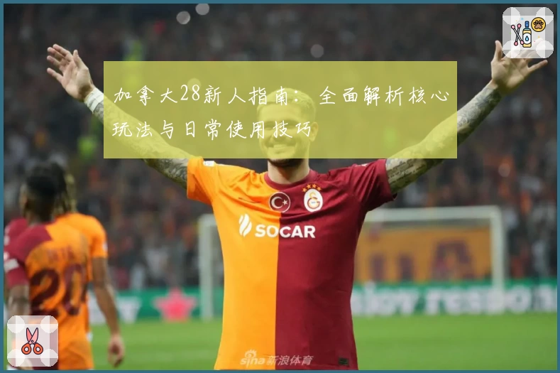 加拿大28新人指南：全面解析核心玩法与日常使用技巧