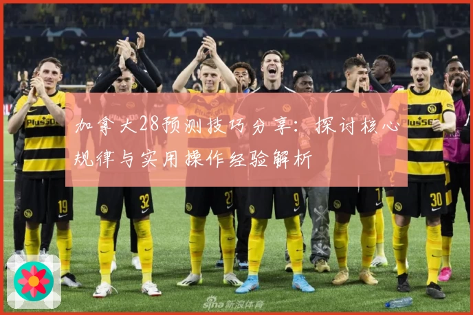 加拿大28预测技巧分享：探讨核心规律与实用操作经验解析