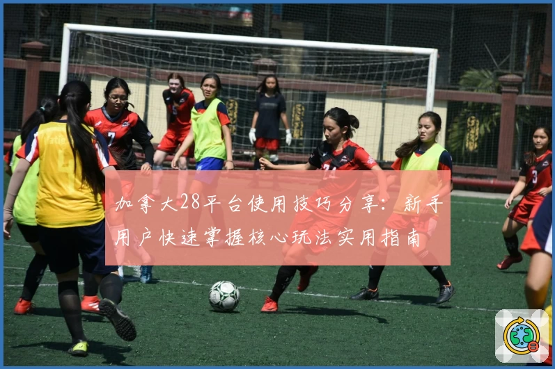 加拿大28平台使用技巧分享：新手用户快速掌握核心玩法实用指南