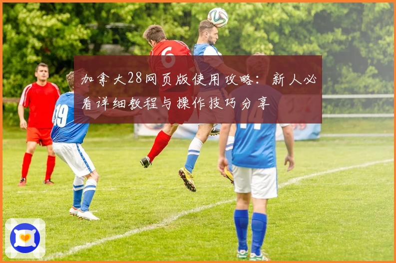 加拿大28网页版使用攻略：新人必看详细教程与操作技巧分享